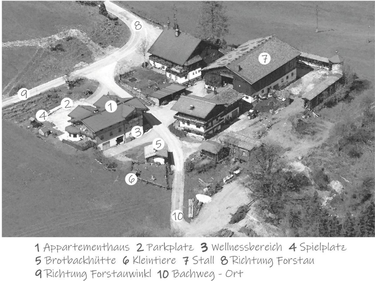 Oeko-Appartements Fallhaus Forstau  Eksteriør billede